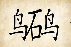 吃瓜看瓜的成语,揭秘网络热议背后的真相