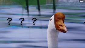 梦崽吃瓜 第1张 梦崽吃瓜 第1张