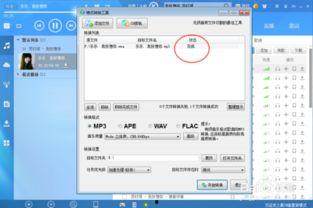 吃瓜录音文件怎么打开,一场舆论风波的幕后真相  第1张