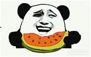 吃瓜群众发怒二哈,网友热议不断 第2张 吃瓜群众发怒二哈,网友热议不断 第2张