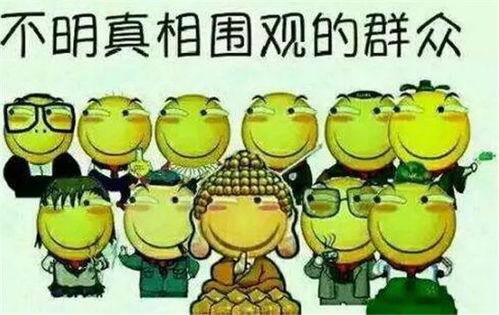 吃瓜群众发怒二哈,网友热议不断 第3张 吃瓜群众发怒二哈,网友热议不断 第3张
