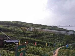 吃瓜群众岱岱 贵州,揭秘“吃瓜群众岱岱”的独特魅力  第2张