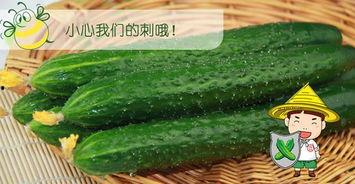 吃瓜先种瓜,从“吃瓜先种瓜”看网络舆论的生态平衡