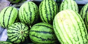 吃瓜先种瓜,从“吃瓜先种瓜”看网络舆论的生态平衡