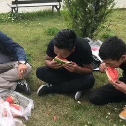 团队吃瓜搞笑视频,搞笑视频集锦，笑料横生，欢乐无限  第3张