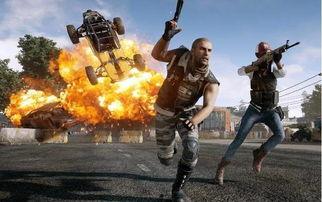 满级吃鸡操作瓜仔,揭秘高手的独门秘籍  第3张