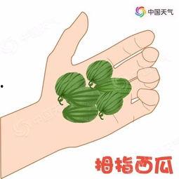 全飞吃瓜长,揭秘网络红人的崛起之路