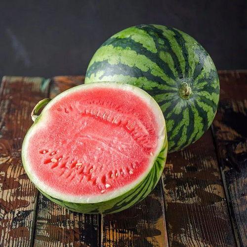 酷瓜可以吃吗,揭秘其食用安全与美味之谜 第1张 酷瓜可以吃吗,揭秘其食用安全与美味之谜 第1张