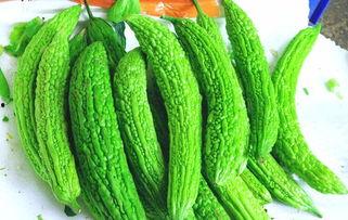 酷瓜可以吃吗,揭秘其食用安全与美味之谜 第2张 酷瓜可以吃吗,揭秘其食用安全与美味之谜 第2张