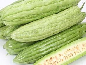 酷瓜可以吃吗,揭秘其食用安全与美味之谜 第3张 酷瓜可以吃吗,揭秘其食用安全与美味之谜 第3张