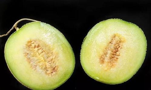 吃瓜吃甜瓜,揭秘吃瓜吃甜瓜的乐趣与奥秘 第2张 吃瓜吃甜瓜,揭秘吃瓜吃甜瓜的乐趣与奥秘 第2张