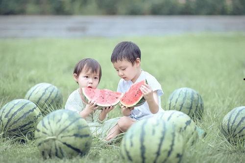 爱好者吃瓜,揭秘爱好者们的“吃瓜”世界  第2张