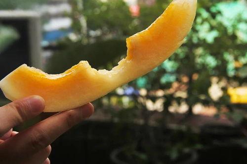 爱好者吃瓜,揭秘爱好者们的“吃瓜”世界  第3张