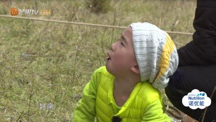 芒果台吃瓜,娱乐圈幕后真相曝光  第3张