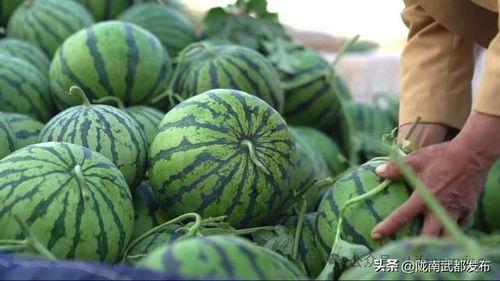 吃瓜十月,盘点娱乐圈热点事件与幕后真相  第2张