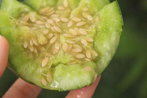 绿田瓜怎么吃  第3张