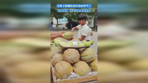 看见老汉吃瓜,见证老汉悠闲夏日时光  第1张