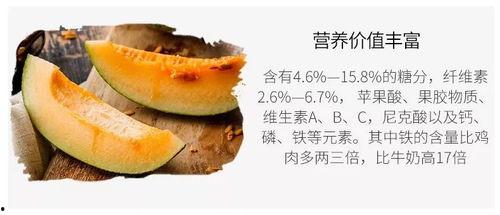 吃瓜群众没见过的瓜,吃瓜群众未曾见过的神秘瓜界奇观  第1张