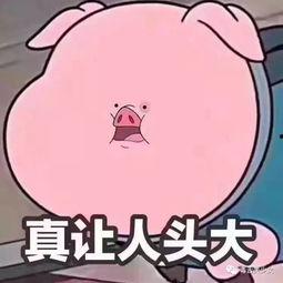 吃瓜群众评价图片,趣味与深思并存  第3张