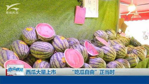 吃瓜上市,揭秘娱乐圈的“瓜田”风云  第2张