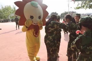 吃瓜向左走  第1张