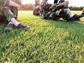 吃瓜向左走  第3张