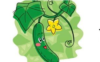 吃瓜找朋友,趣味交友，共享欢乐时光  第3张