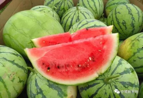 瓜王怎么吃  第2张