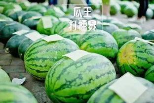 瓜王怎么吃  第3张