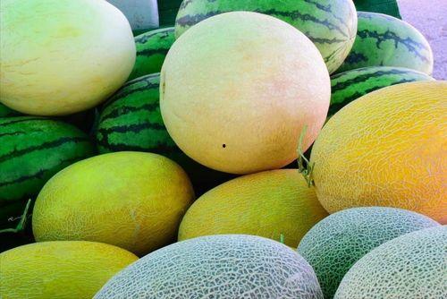 自驾瓜州吃瓜具体位置,探寻丝绸之路上的甜蜜秘境  第2张