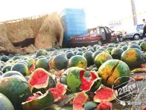 吃瓜翻车大冤种,揭秘大冤种的尴尬瞬间  第2张