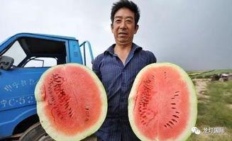 大型最强吃瓜视频,一场视觉盛宴的狂欢之旅  第1张