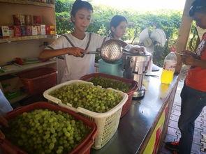 大型最强吃瓜视频,一场视觉盛宴的狂欢之旅  第2张