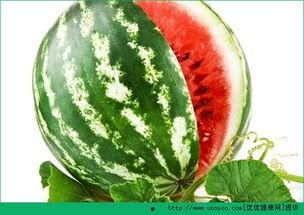 夏季吃的瓜有那些,盘点夏季必尝的清凉瓜类  第2张