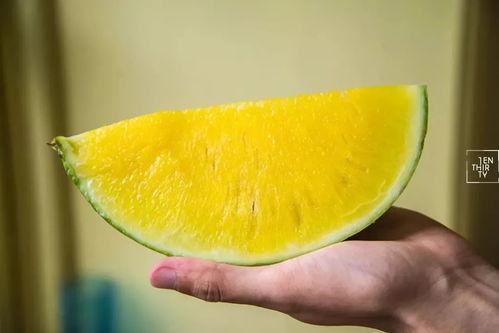 just吃瓜  第2张