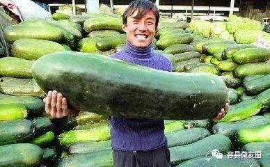 不会吃瓜的孩子  第3张
