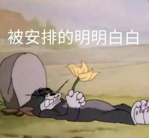 吃瓜搞笑文案合集,吃瓜搞笑文案合集大揭秘  第3张