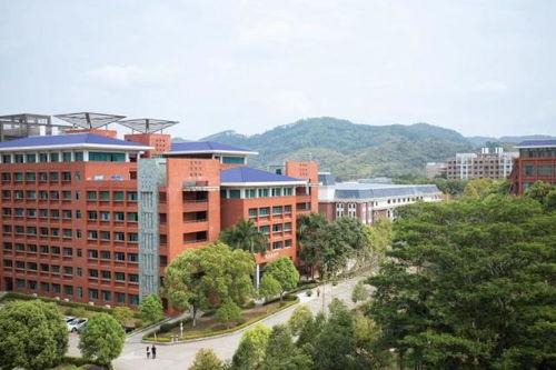 广州华立学院 吃瓜,揭秘校园“吃瓜”文化现象  第3张