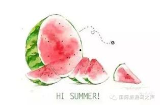 天气热吃瓜说说,清凉一“瓜”——探寻解暑吃瓜的乐趣  第2张