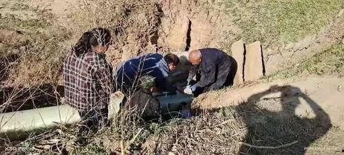 井陉微水吃瓜,瓜香四溢的乡村风情  第2张