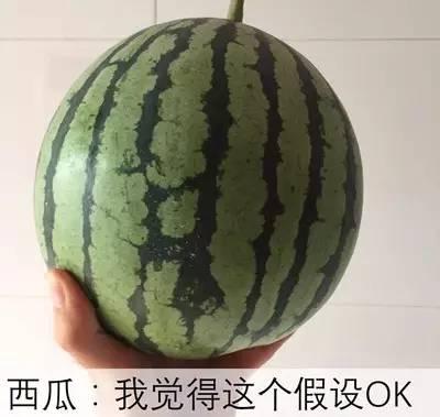 暑假吃的瓜,暑假里的甜蜜回忆  第3张